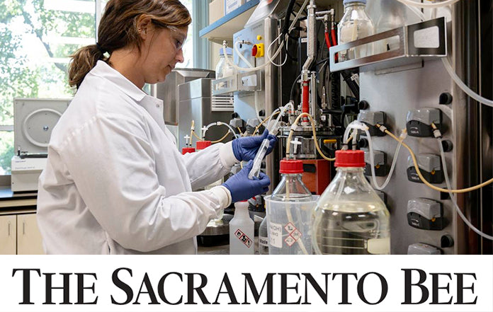 Davis startup releases unique sweet tea. Here’s what makes it different